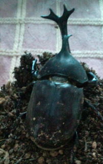 20110813164304.jpg